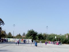 IMG_20181006_094739.jpg